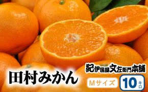 田村みかん 特選ギフト品 10kg【Mサイズ】赤秀/紀州和歌山有田郡湯浅町田村地区産 ◆2026年11月下旬～2027年1月中旬頃に順次発送予定(お届け日指定不可)　紀伊国屋文左衛門本舗【kztb303C】