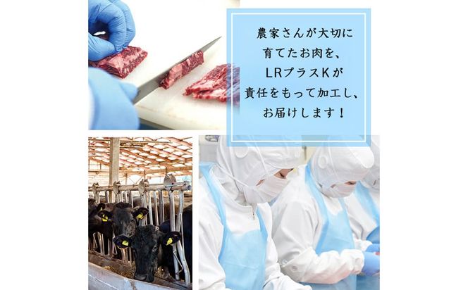 【小分け】＜A5等級＞鹿児島県産黒毛和牛 切り落とし(250g×10P・計2.5kg) c0-121