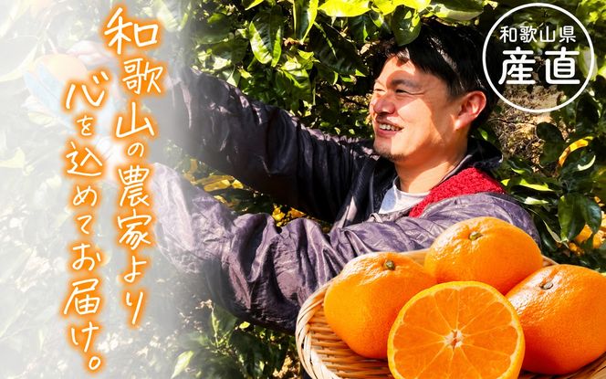 【旬のくだもの定期便】 わかやま 旬の くだもの 定期便 【L】全3回 / フルーツ まりひめ いちご 小玉 すいか ※北海道・沖縄・離島への配送不可（配送日時指定不可）※北海道・沖縄・離島への配送不可 / 定期便 フルーツ みかん いちご イチゴ すいか 【ard-tkb909】