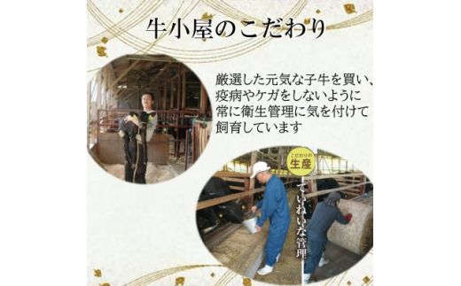 ＜生産直売＞知多牛 響 コロ肉 400g (冷凍)カレー シチュー用