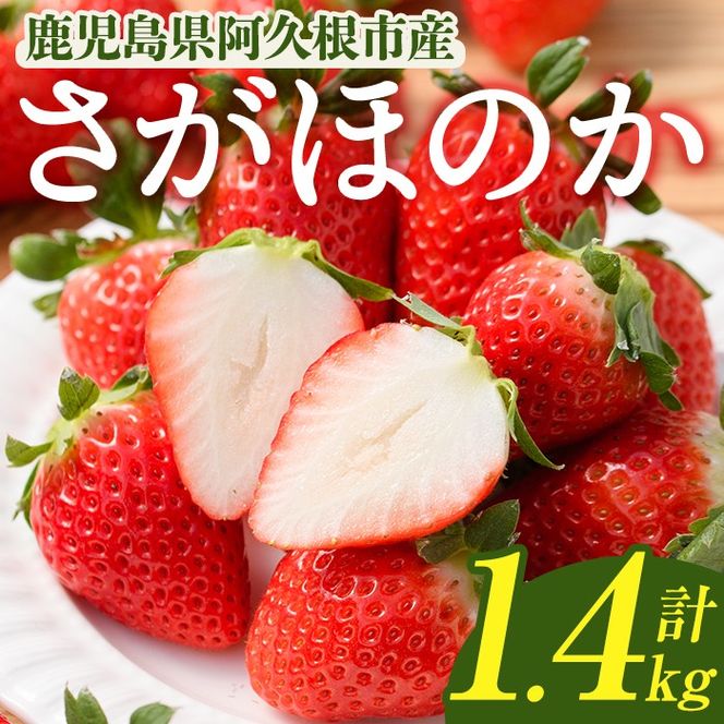 yvszs\tI2026N1ȍ~\聄Y  ق̂ (1.4kg) C`S  Y Y nEX͔| t[c fU[g ʕ  ʌ Ԍ {yؒʗDzakn100-01