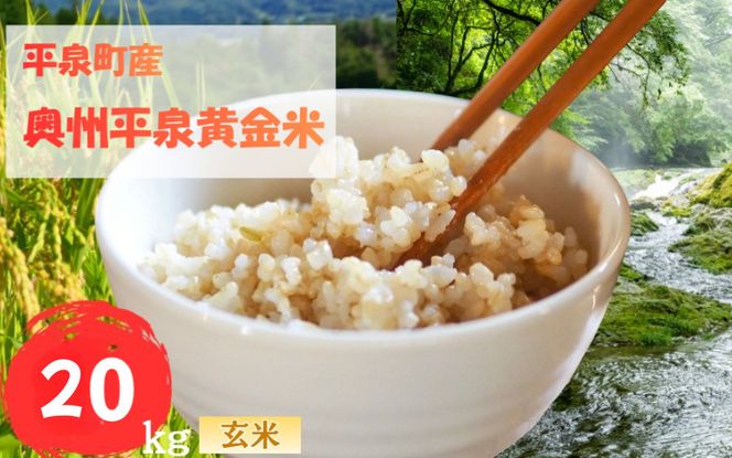 令和7年産 平泉町産 奥州平泉黄金米 玄米20kg / こめ コメ 米 お米 おこめ 玄米 ご飯 ごはん ライス 山水【aoki009B】
