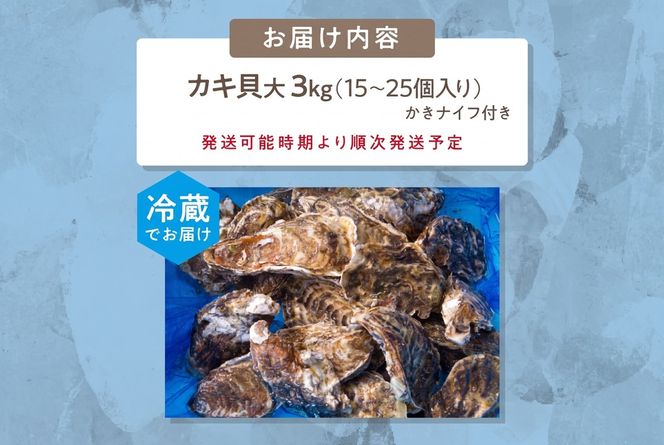 【予約：2026年10月中旬から順次発送】サロマ湖自慢の殻付きカキ貝 大 3kg詰め ( 牡蠣 かき 濃厚 大きい 魚介類 貝類 殻付 殻付き牡蠣 BBQ バーベキュー )【114-0072-2026】