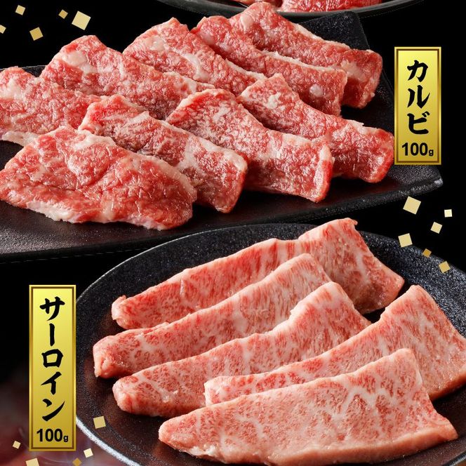 宮崎牛焼肉食べ比べ3種盛合計300g N0140-YA5506