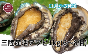 【11月～12月発送】三陸産！活アワビ 約1kg (6～8個)【期間限定】【08】｜冷蔵 岩手県 大槌町 あわび 人気 鮑 いわて iwate 2026【配送日・曜日指定不可】