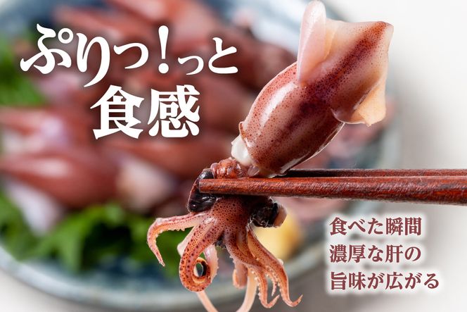 【ほたるいか ボイル 小分け 250g×4パック 1kg 酢味噌付 冷蔵】【令和8年3月以降発送予定】 生 ホタルイカ いか イカ 烏賊 茹で しゃぶしゃぶ 国産 兵庫県産 鮮度抜群 新鮮 おすすめ ふるさと納税 返礼品 兵庫県 香美町 香住 モリタ食品 10000円 10-14