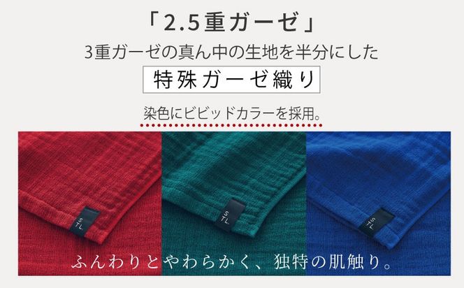 TST0012 【高島屋選定品】SHINTO TOWEL 2.5重ガーゼSTL マフラー Lセット 計3枚