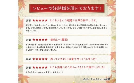 梅干し 【梅干しランキング2位！】【選べる容量】 訳あり 数量限定 完熟南高梅 梅干し 1.25kg or 2.5kg (1.25kg×2個) 2L ~ 3L サイズ / 梅 梅干し 梅干 訳あり わけあり ワケアリ 昔ながら まろやか 無添加 塩分濃度約20％ 人気 大粒 肉厚 お米 おにぎり 焼酎 梅酒 自家栽培 健康 【ymu001C-004】