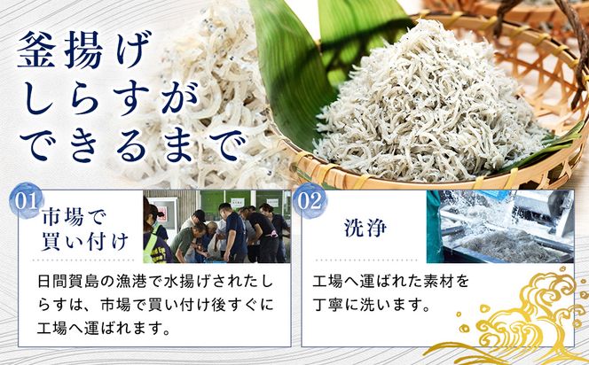 日間賀島 釜揚げ しらす 1kg 天然 塩 愛知県 南知多町 冷凍 ご飯 ごはん パスタ サラダ ピザ 丼 料理 国産 パーティー 魚 さかな シラス ミネラル 人気 おすすめ