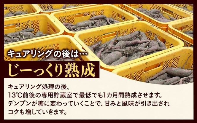 【訳あり】針山さんちのさつまいも 紅はるか 10kg / さつまいも 紅はるか 真庭 人気 【ybrf003-01】