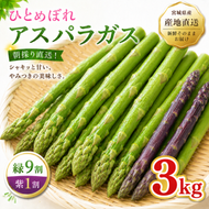夏限定 ひとめぼれアスパラガス 3kg グリーン パープル ミックス 産地直送 農家直送 夏野菜 朝採れ 新鮮 旬 アスパラ シャキシャキ サラダ バーベキュー BBQ お弁当 肉巻き おすそ分け ファミリー 大容量 ギフト 送料無料
