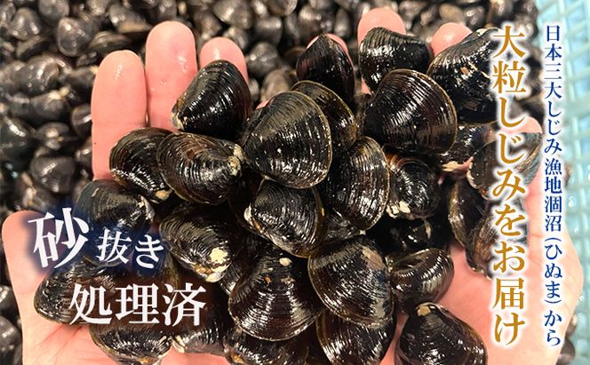 涸沼産 大粒 冷凍 シジミ 2.8kg （350ｇ×8袋） しじみ 蜆 大和しじみ ヤマトシジミ 大玉 砂抜き済 冷凍 味噌汁 スープ 魚貝類 貝 オルニチン コハク酸 小分け