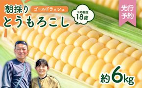 【先行予約 2026年6月中旬以降発送 】【 令和8年産 】 朝採り とうもろこし （ ゴールドラッシュ ） 約 6kg トウモロコシ スイートコーン コーン 野菜 産地直送 期間限定 極甘 岩田さん 昼めし旅 [AX019ya]