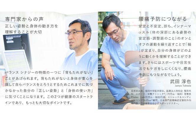 椅子 バランスシナジー カバーなし 選べる シート カラー 腰痛対策椅子 腰痛対策 家具