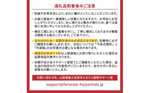 【2025年先行予約】山梨県産 シャインマスカット フルーツ シャインマスカット 果物 旬 高級 山梨 富士吉田