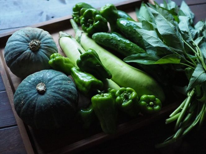 159-2054-02　【定期便12回】旬の野菜セット（年間/12回）【 神奈川県 大磯町 季節野菜セット 新鮮野菜】