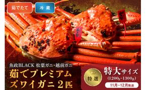 【蟹の匠 魚政】茹で　プレミアムズワイガニ 魚政BLACK（松葉ガニ・越前ガニ）特撰 特大サイズ（1200～1300g） 2匹セット　(11月～12月発送)　松葉蟹 蟹 かに カニ ガニ がに ボイル 海産物 甲殻類 海の幸 まるごと　UO01308