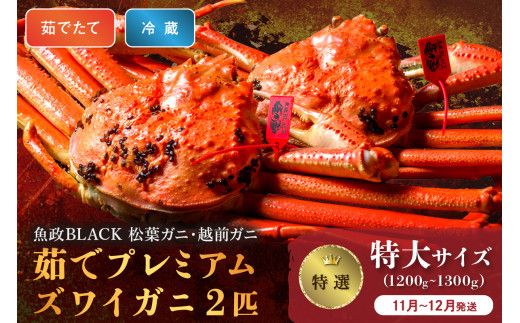【蟹の匠 魚政】茹で　プレミアムズワイガニ 魚政BLACK（松葉ガニ・越前ガニ）特撰 特大サイズ（1200～1300g） 2匹セット　(11月～12月発送)　松葉蟹 蟹 かに カニ ガニ がに ボイル 海産物 甲殻類 海の幸 まるごと　UO01308