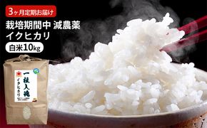 栽培期間中 減農薬イクヒカリ 白米10kg 3ヶ月定期お届け お米ブランド米 精米 ご飯 おにぎり お弁当 和食 福井県認証特別栽培米 冷めても美味しい 