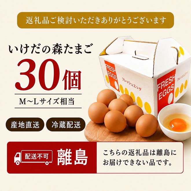 卵 わずか4%の希少な純国産鶏 いけだの森たまご 30個 こだわり おこめのたまご 玉子 鶏卵 生卵 産地直送 冷蔵配送 TKG 卵かけご飯 岐阜県産 