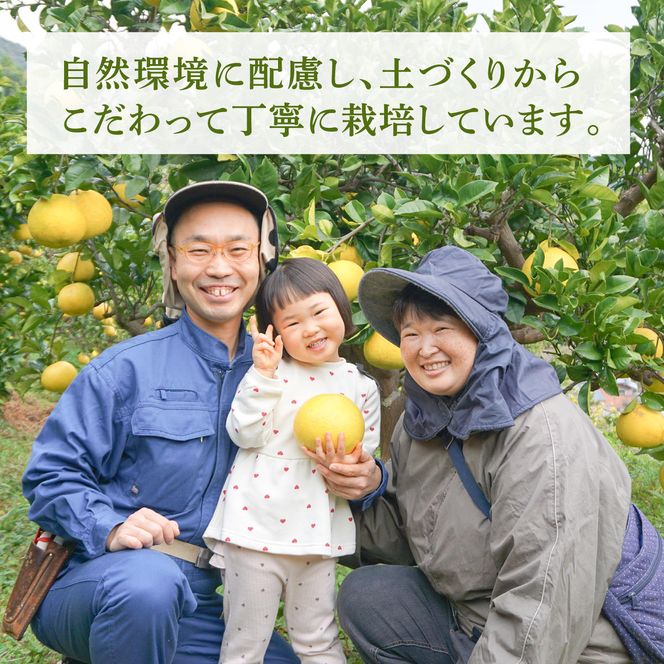 【先行予約】文旦 家庭用大玉 5キロ 5kg（3L～上限なし：7玉前後）〈2027年1月20日～発送〉皮むき器付き 訳あり 文旦 ぶんたん フルーツ 果物 高知 土佐市 大玉【土佐水谷農園】 [BQBD008]