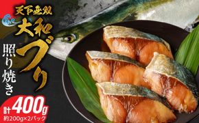 天下無双 大和ブリの照り焼き　N072-YA2257