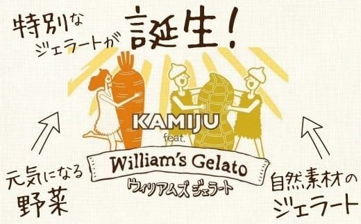 （お試し）【3種のフレーバーを食べ比べ!!】だいちとつながるジェラート3個セット 映えるデザインが可愛いと話題に!! マドンナキャロット 地元野菜 甘い アイス スイーツ デザート 洋菓子 可愛い 詰め合わせ キャロットミルク フルーツサラダ ピーナッツミルク 自慢 冷たい にんじん 人参 落花生 ピーナッツ 農家 神重農産 H105-260
