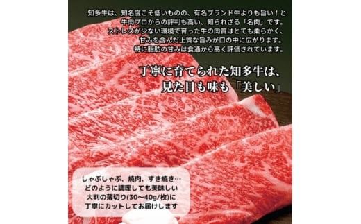 高級国産ブランド牛肉「知多牛」600g赤身霜降り(しゃぶしゃぶ、すき焼き、焼肉)CAS冷凍・訳あり