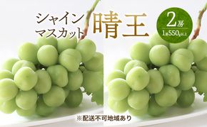 ぶどう 2026年 先行予約 シャイン マスカット 晴王  2房 （1房550g以上） マスカット ブドウ 葡萄  岡山県産 国産 フルーツ 果物 ギフト 桃茂実苑