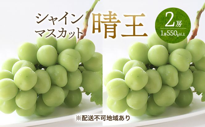 ぶどう 2026年 先行予約 シャイン マスカット 晴王  2房 （1房550g以上） マスカット ブドウ 葡萄  岡山県産 国産 フルーツ 果物 ギフト 桃茂実苑