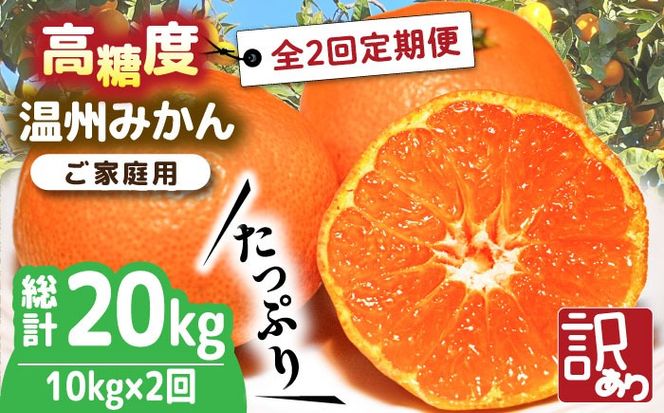 【2024年12月〜発送】【大満足！ 2回 定期便 】高糖度温州みかん約10kg（傷もの） （計約20kg） / みかん 南島原市 / 南島原果物屋 [SCV016]