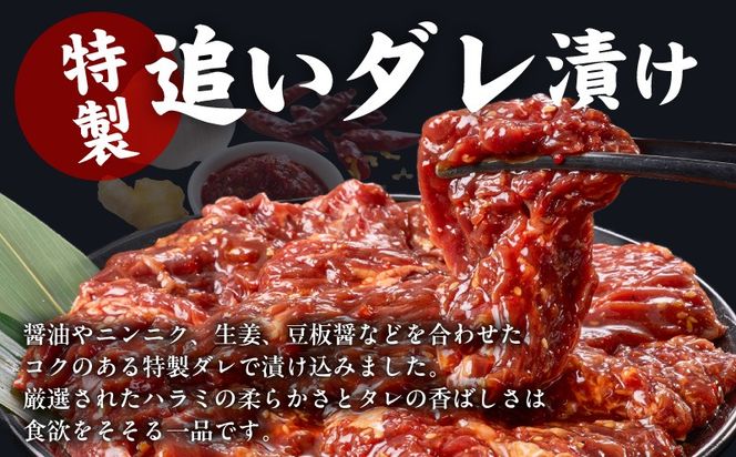 G4017 ガツめし牛ハラミ 600g 追いダレ漬け【焼肉 はらみ ハラミ 牛肉 訳あり サイズ不揃い】