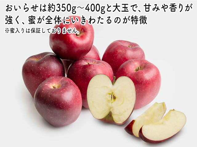 りんご 青森 おいらせ リンゴ 約 5kg (6～10玉) 青森県 鰺ヶ沢町産 ヒバリノ園 フルーツ 果物 果物類 白神山地 林檎 ※オンライン決済のみ 