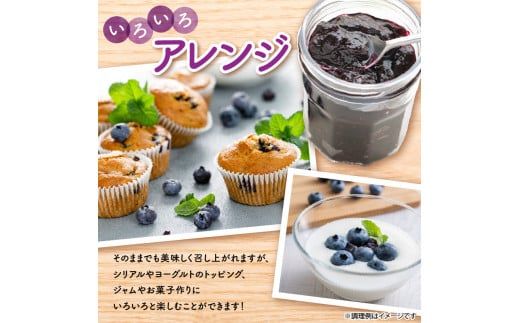 フルーツ王国余市産 冷凍ブルーベリー 1㎏ 【ニトリ観光果樹園】_Y074-0149