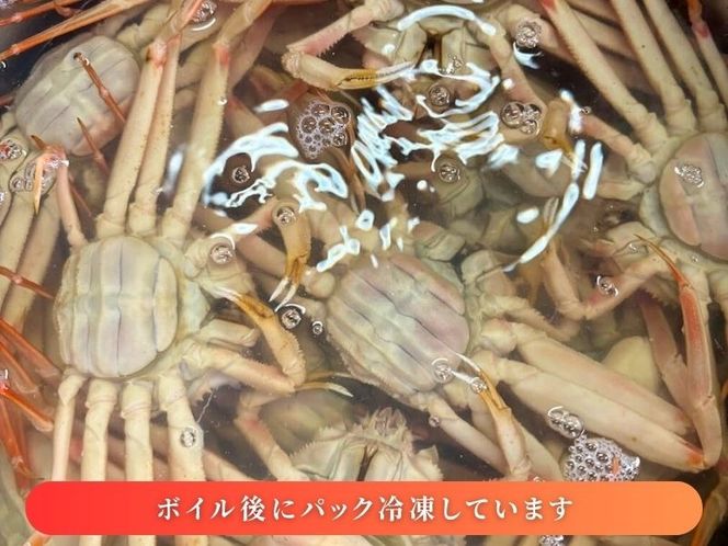 【11月～2月発送】【訳あり】新潟県村上市寝屋漁港産　セコガニ 約1kg（5～10尾入）C4088
