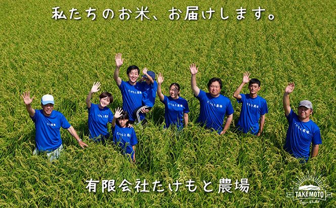 リゾットMAMMA 能登きのこ　4個セット お米 リゾット向け 米 