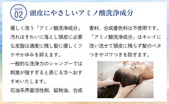 塩とハイビスカスのシャンプー「ぬち髪」×12本（1年分）　ハイビスカス　ノンシリコン　ノンシリコンシャンプー　シャンプー　ぬちまーす　ヒアルロン酸　植物性ヒアルロン酸　うるおい　潤い　ハリ　コシ　塩　パラベンフリー　月桃　艶　ティーツリー