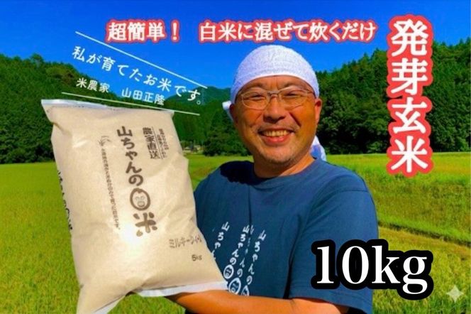 538. 農家直送『山ちゃんの発芽玄米』10kg