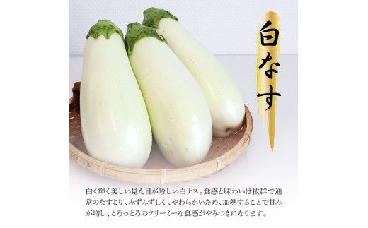 【先行予約】食べ比べ！白と黒のナスセット 黒ナス8本 白ナス4本 なす 茄子 黒なす 白なす 焼き茄子 煮浸し 漬物 浅漬け 味噌汁 おかず 野菜 常温 配送 国産