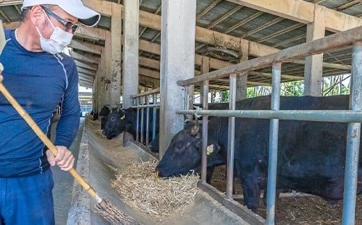 【産地直送】石垣の恵 石垣牛 贅沢焼肉(4種盛)【合計750g】【日本最南端の黒毛和牛】KB-100