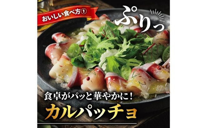ぶり スライス 冷凍 合計 500g （ 10g × 10スライス × 5パック ） 15000円 鰤 しゃぶしゃぶ ぶりしゃぶ 鰤しゃぶ 鍋 刺身 刺し身 さしみ カルパッチョ ぶり丼 海鮮丼 海鮮鍋 寿司 鮮魚 魚介類 海産物 ブランド 魚 養殖 小分け 簡単 国産 真空 パック セット 特許 超冷薫 愛媛県 愛南町 オンスイ