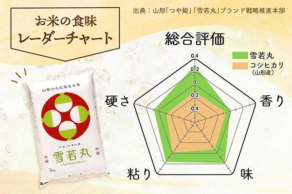特A 山形県産 雪若丸 6kg 2kg×3袋 令和7年産 2025年産 ブランド米 米 国産 単一原料米 山形 庄内平野