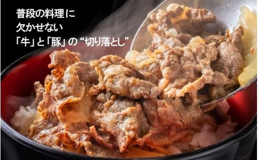 大分県産 牛・豚の切り落としセット（真空包装） 計1kg_2472R