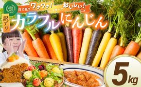 〈予約受付〉 メディア出演多数！【期間限定】（訳あり） 冬の寒さでぎゅっと濃い！虹色のカラフルにんじん 5kg 鈴盛農園 農家直送 甘い スーパーフード 健康 自慢 ジュース サラダ ギフト 贈り物 βカロテン ポリフェノール リコピン ジューシー 規格外 自慢 おためし H022-017
