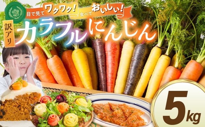 〈予約受付〉 メディア出演多数！【期間限定】（訳あり） 冬の寒さでぎゅっと濃い！虹色のカラフルにんじん 5kg 鈴盛農園 農家直送 甘い スーパーフード 健康 自慢 ジュース サラダ ギフト 贈り物 βカロテン ポリフェノール リコピン ジューシー 規格外 自慢 おためし H022-017
