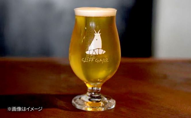 【全3回定期便】-CLIFF BEER- CITRA FRANKY  (ペールエール) 6本入り ビール クラフトビール 350ml 飲み比べ ギフト 沖縄市 / 株式会社クリフクラフト[BCDS010]