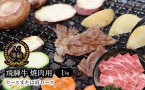 F-29b Ａ5等級飛騨牛 焼肉用1kg ロースまたは肩ロース