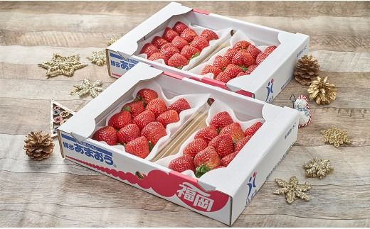 【冬】 あまおう いちご 約250～270g×4パック 【2025年12月上旬～2026年1月下旬発送予定】 大粒