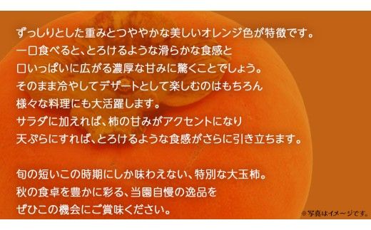 旬な大玉 柿 約3kg 10～14個 【2026年10月上旬発送開始】(茨城県共通返礼品：大子町) 柿 かき カキ 果物 フルーツ 旬 季節限定 期間限定