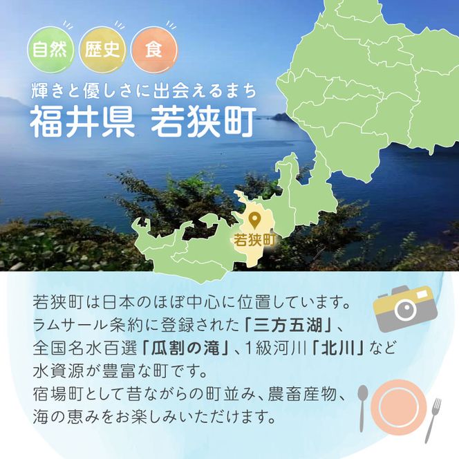 旅行 若狭町 プレミアム宿泊利用券 9000円分 1枚 宿泊補助券 福井県 福井 チケット 宿泊券 旅行券 宿泊 旅館 ホテル 9千円 福井県若狭町 